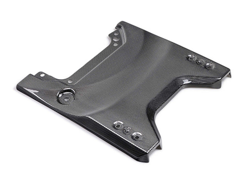 Ford Racing 22-24 Bronco Raptor Carbon Fiver Tailgate Applique - Gloss M-16600-BG