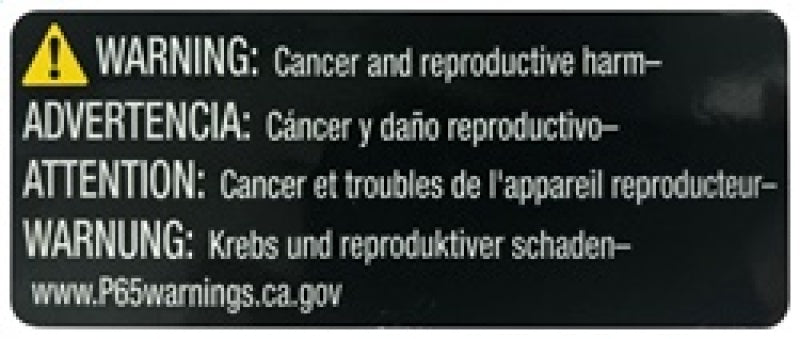 AEM Induction AEM 3.5 inch Short Neck 5 inch Element Filter Replacement 21-204DK