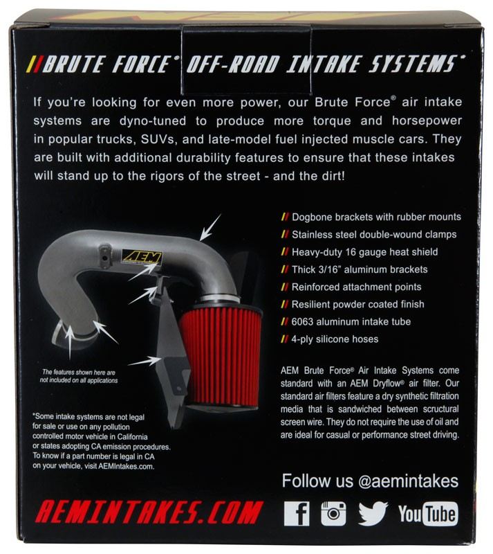 AEM Induction DryFlow Air Filter AIP21-202BF