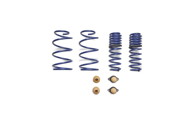 Ford Performance Parts Ford Racing 2012-2013 BOSS 302 Lowering Springs