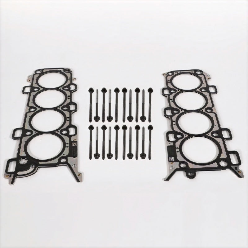 Ford Racing 18-21 5.0L Coyote Head Changing Kit - 12mm Head Bolts M-6067-M5018