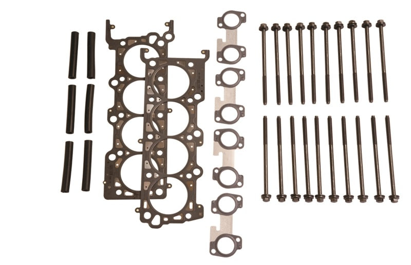 Ford Performance Parts Ford Racing 4.6L 2V SOHC Head Changing Kit