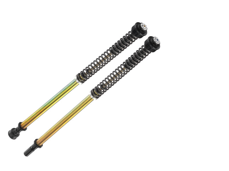 Bitubo Suspension Bitubo JBHV1 Pressurized Cartridge Adj.: Spring Preload, Rebound, Comp., w/o Oil, Red Ring Y0162JBH01V1WO