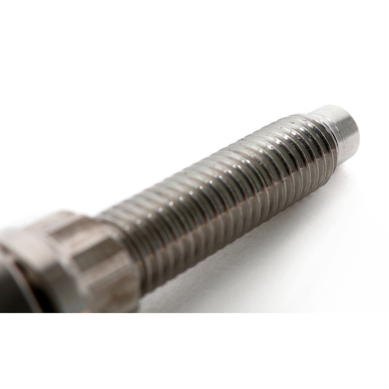 BLOX Racing SUS303 Stainless Steel Manifold Stud Kit M8 x 1.25mm 65mm in Length - Single BXFL-00309-SP