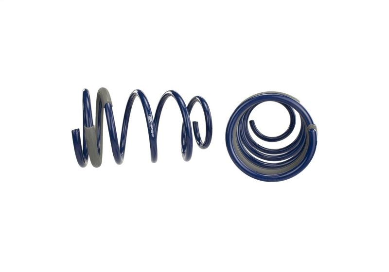 Ford Performance Parts Ford Racing 2005-2014 Mustang GT 1.0in. Track Lowering Springs