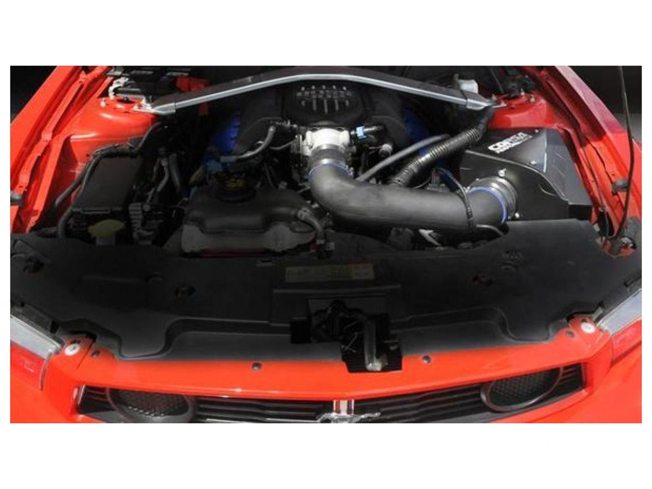 Corsa Performance 12-13 Ford Mustang Boss 302 5.0L V8 Air Intake