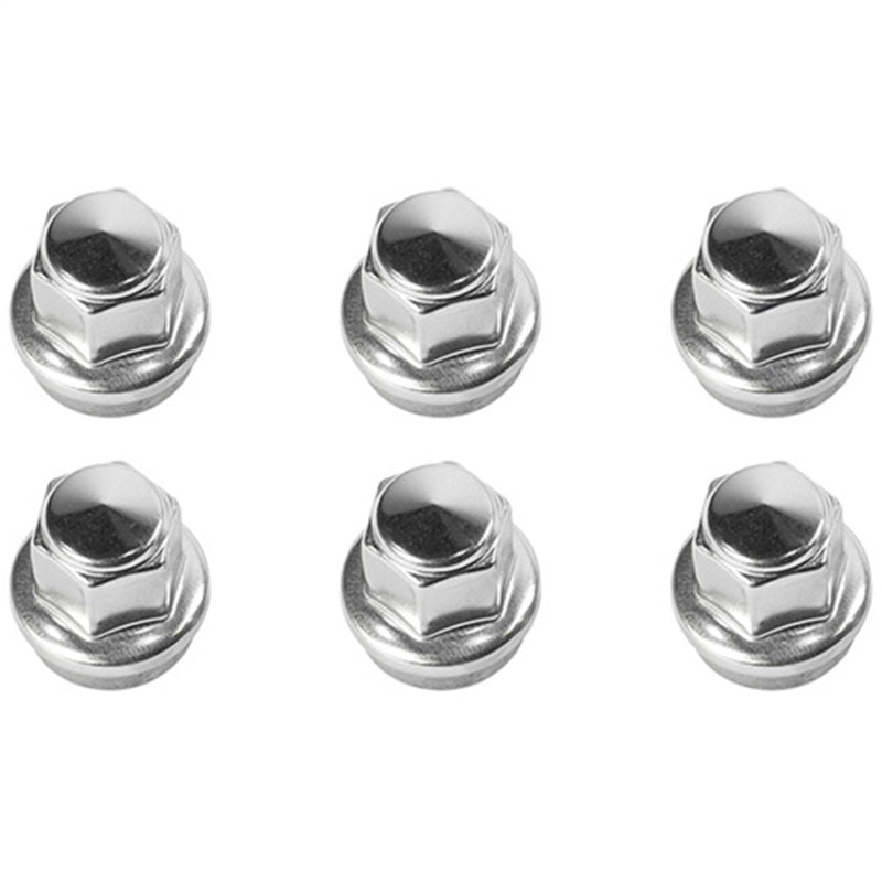 Ford Performance Parts Ford Racing 2015-2018 F-150 Lug Nut Kit