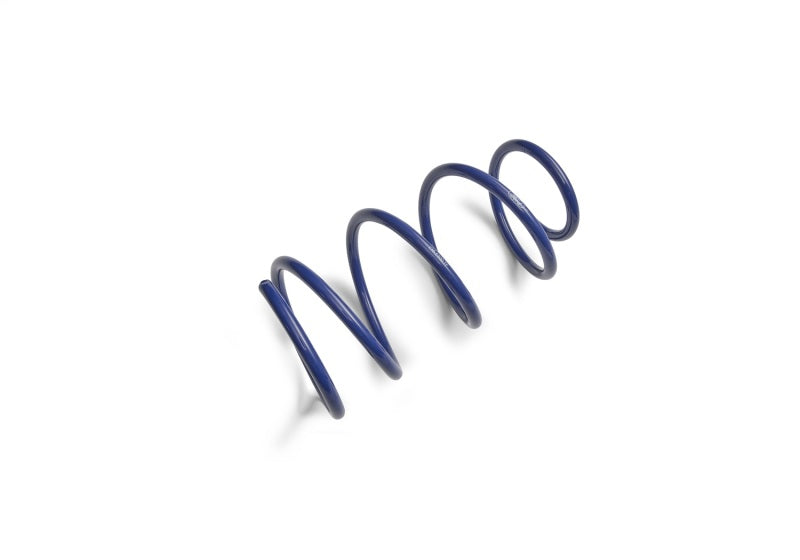 Ford Performance Parts Ford Racing 2012-2013 BOSS 302 Lowering Springs