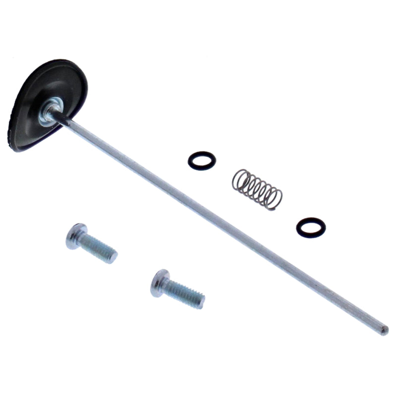 All Balls Racing 99-06 Yamaha TTR250 Accelerator Pump Rebuild Kit 46-3012