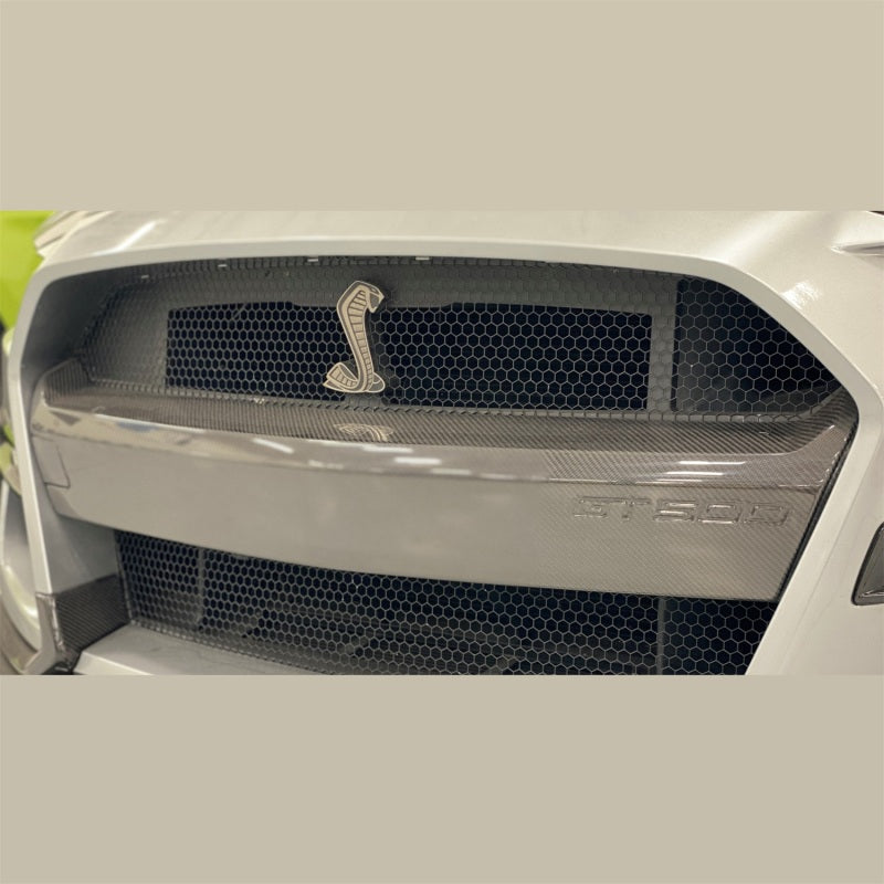 Ford Racing 20-21 Mustang GT500 Carbon Fiber Bumper Insert M-17750-MCF