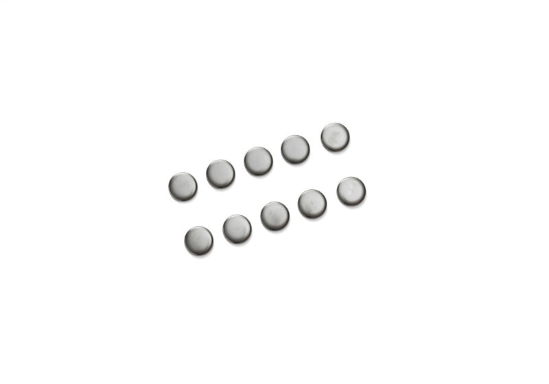 Ford Performance Parts Ford Racing Cylinder Block Camshaft Plug