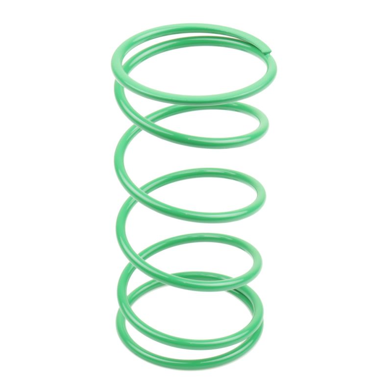 Athena BSV DIO GP 50 25Kg Green Contrast Spring (Bore 50mm) 070496
