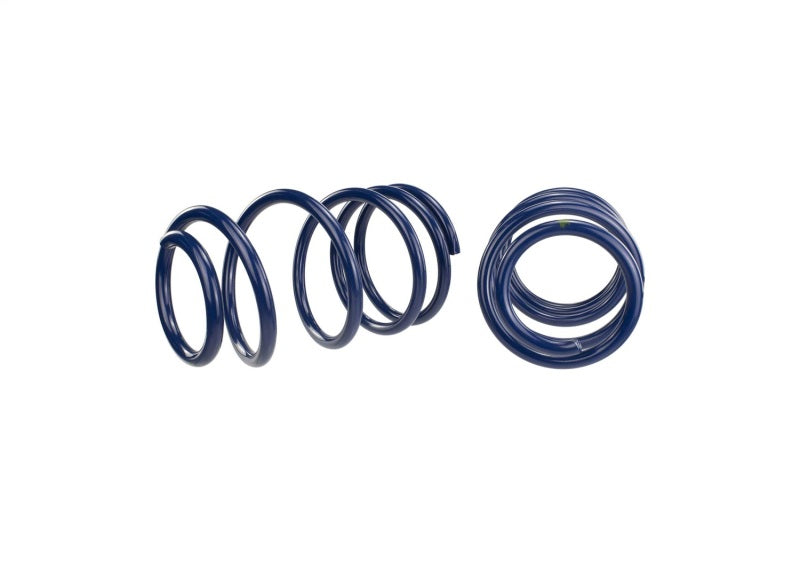 Ford Performance Parts Ford Racing 2007-2014 Mustang Shelby GT500 Springs