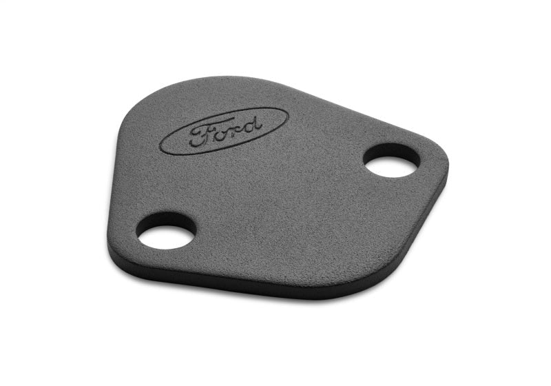 Ford Fuel Pump Block-Off Plate Black w/Ford Logo FRD302-291