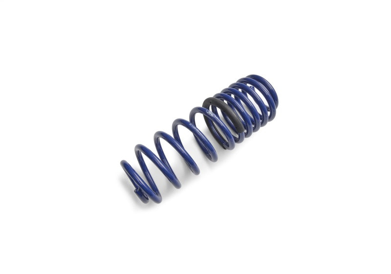 Ford Performance Parts Ford Racing 2012-2013 BOSS 302 Lowering Springs