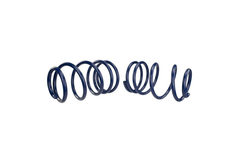 Ford Performance Parts Ford Racing 2007-2014 Mustang Shelby GT500 Springs