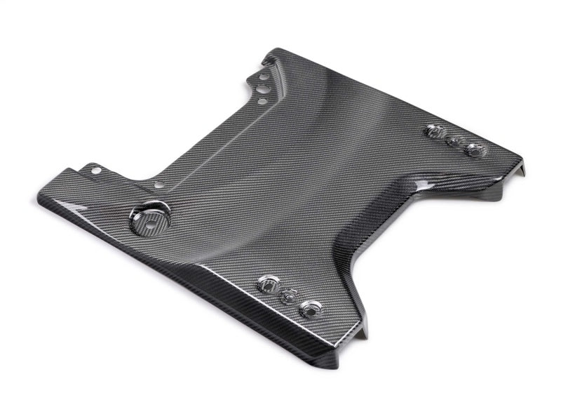 Ford Racing 22-24 Bronco Raptor Carbon Fiver Tailgate Applique - Gloss M-16600-BG