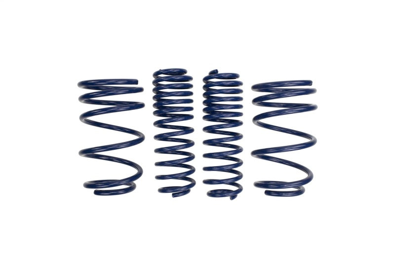 Ford Performance Parts Ford Racing 2007-2014 Mustang Shelby GT500 Springs