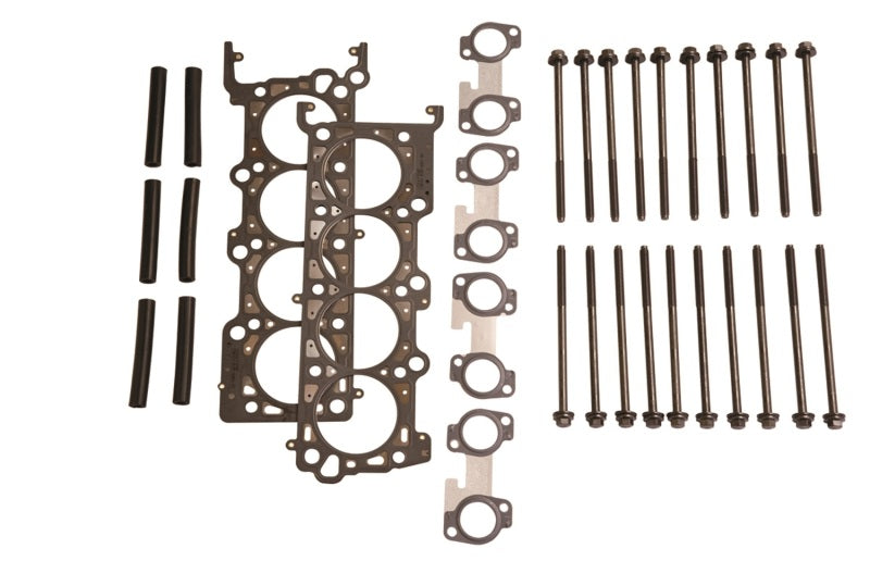 Ford Performance Parts Ford Racing 4.6L 2V SOHC Head Changing Kit