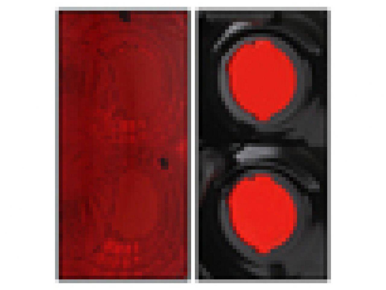 Spyder Toyota Tacoma 01-04 Euro Style Tail Lights - Chrome (SKU #5007841) 0BCKE