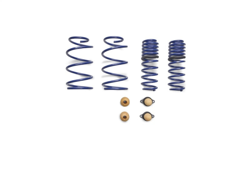 Ford Performance Parts Ford Racing 2012-2013 BOSS 302 Lowering Springs