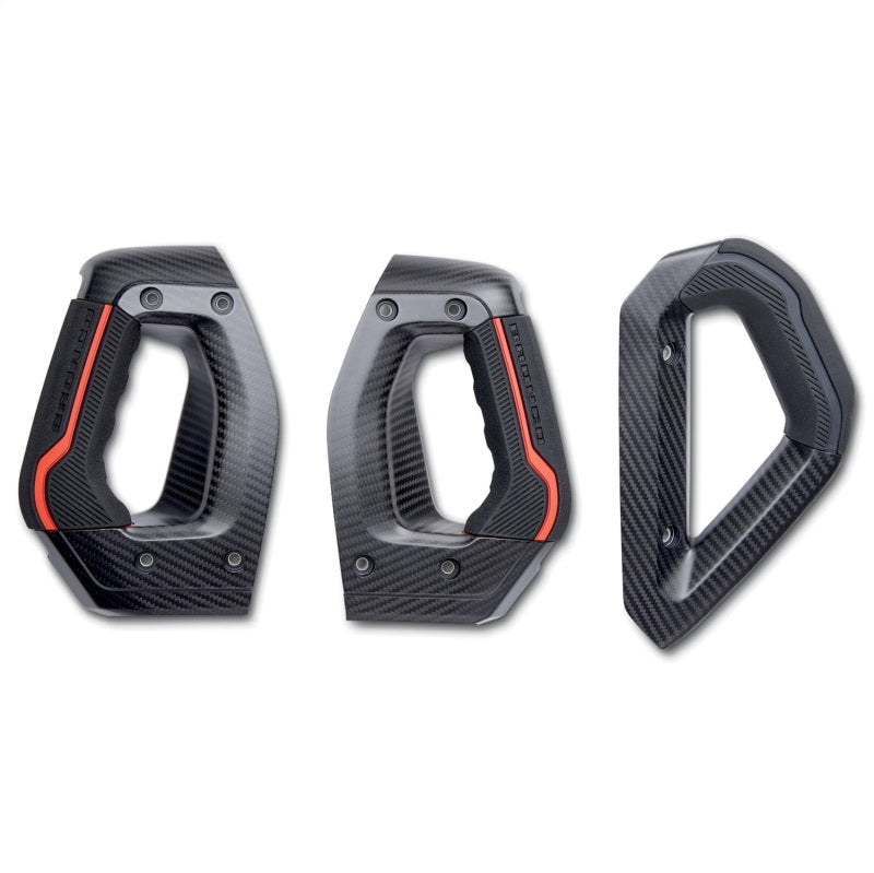 Ford Racing 21-23 Bronco Carbon Fiber Grab Handle Kit M-7220-BCF