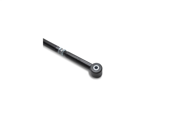Ford Performance Parts Ford Racing 2005-2014 Mustang Adjustable PanHard Bar