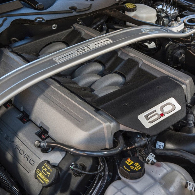 Ford Performance Parts Ford Racing 2015 Mustang GT Coyote Engine Cover Kit
