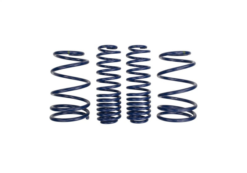 Ford Performance Parts Ford Racing 2007-2014 Mustang Shelby GT500 Springs