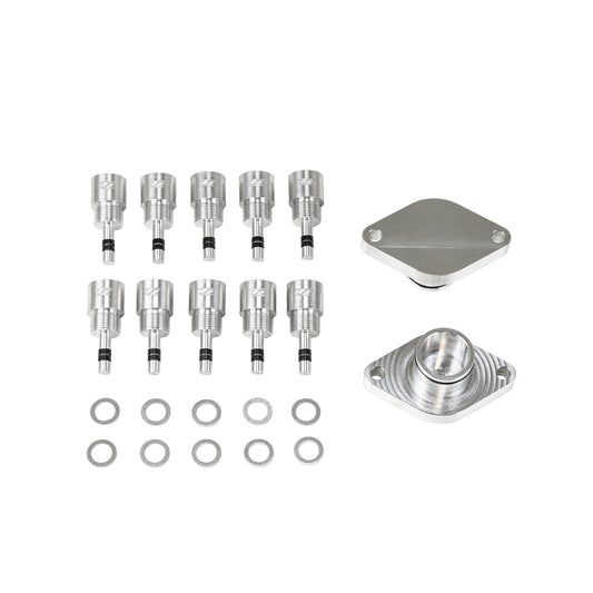 T1 Huracan/R8 Direct Injection Removal Kit