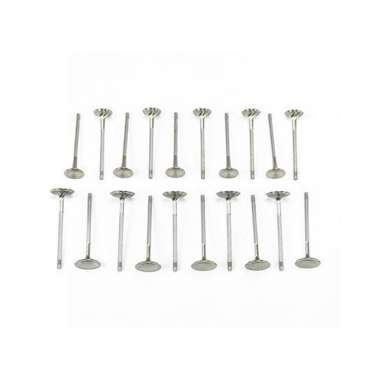T1 Ferrea Valves for Audi R8/Lamborghini Huracan
