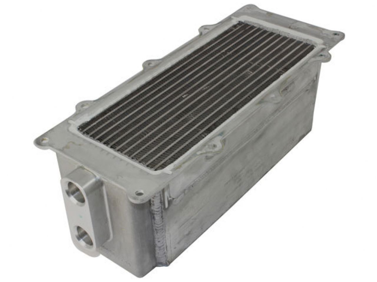 Ford Performance Parts Ford Racing 5.4L 4V Performance Intercooler
