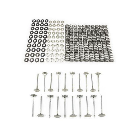 T1 R8/Huracan Valvetrain Kit