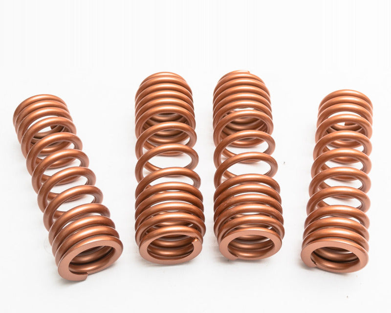Agency Power AP McLaren 570s Lowering Springs AP-570S-200