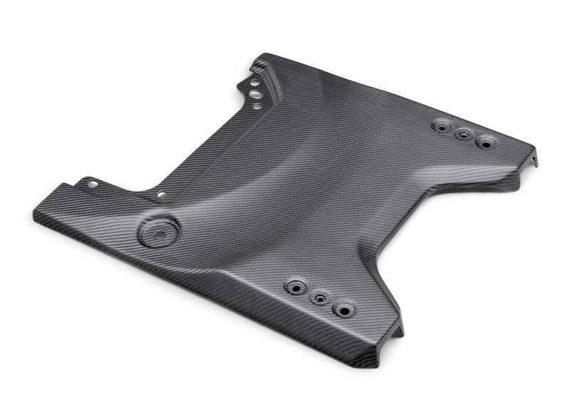 Ford Racing 22-24 Ford Bronco Raptor Carbon Fiver Tailgate Applique - Matte M-16600-BM