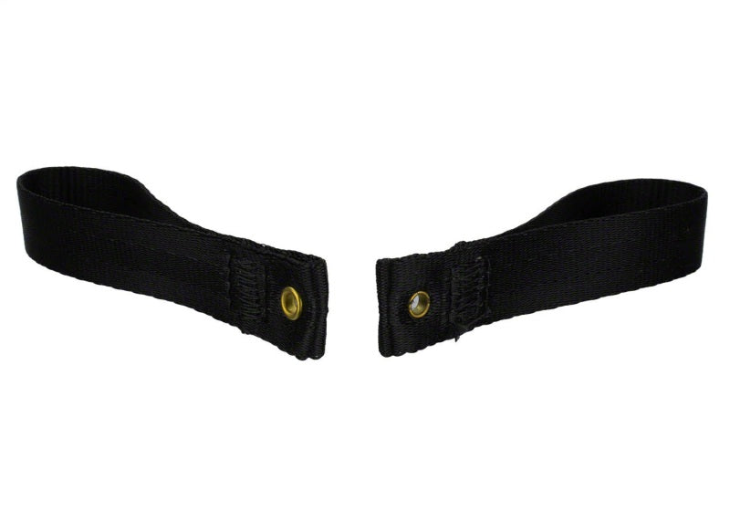 Ford Racing Bronco Tube Door Pull Strap M-19008-BTDP