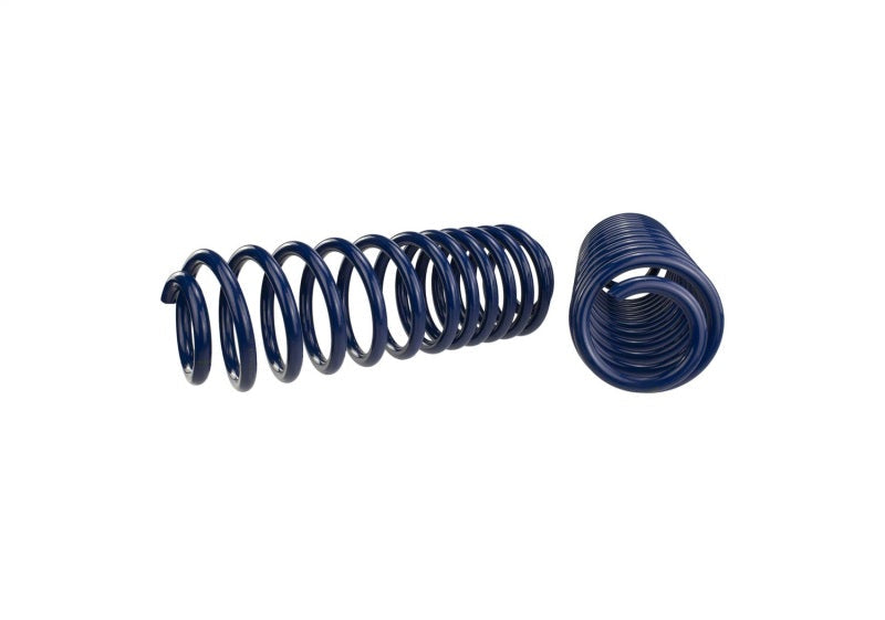 Ford Performance Parts Ford Racing 2007-2014 Mustang Shelby GT500 Springs