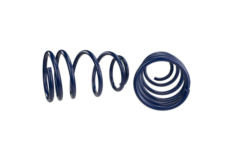 Ford Performance Parts Ford Racing 2007-2014 Mustang Shelby GT500 Springs