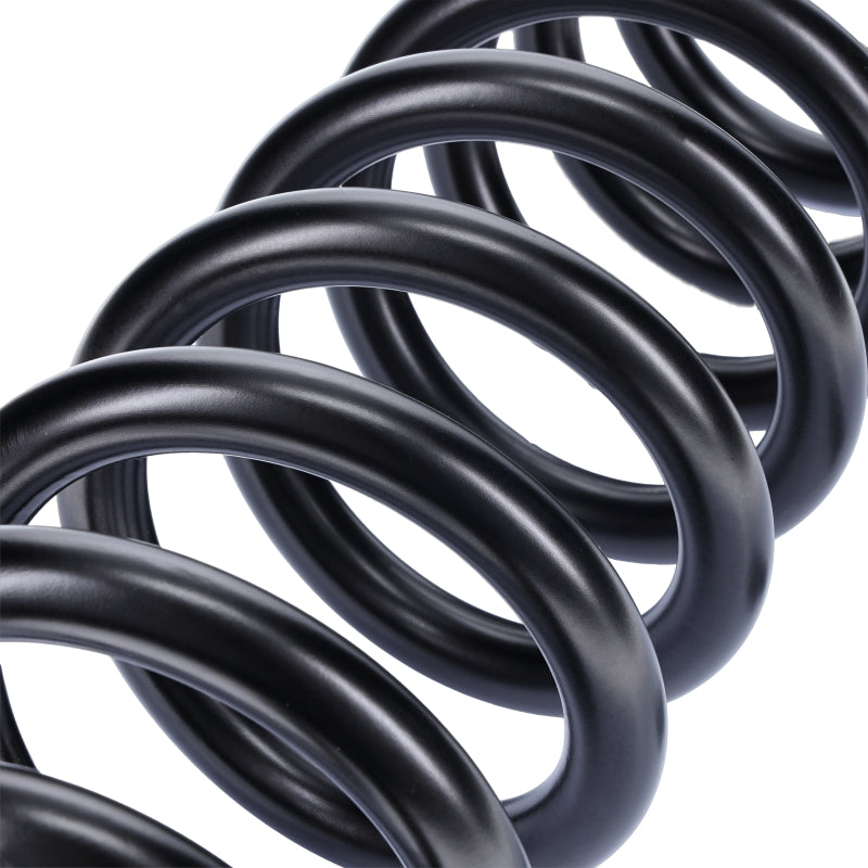 Camburg 05-24 Ford F-250/350 4wd 2.5in. Performance Coil Springs (pair) (diesel) CAM-110105