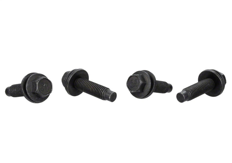Ford Racing FPP Bead Lock Ring Bolt Kit M-503317K-BOLT