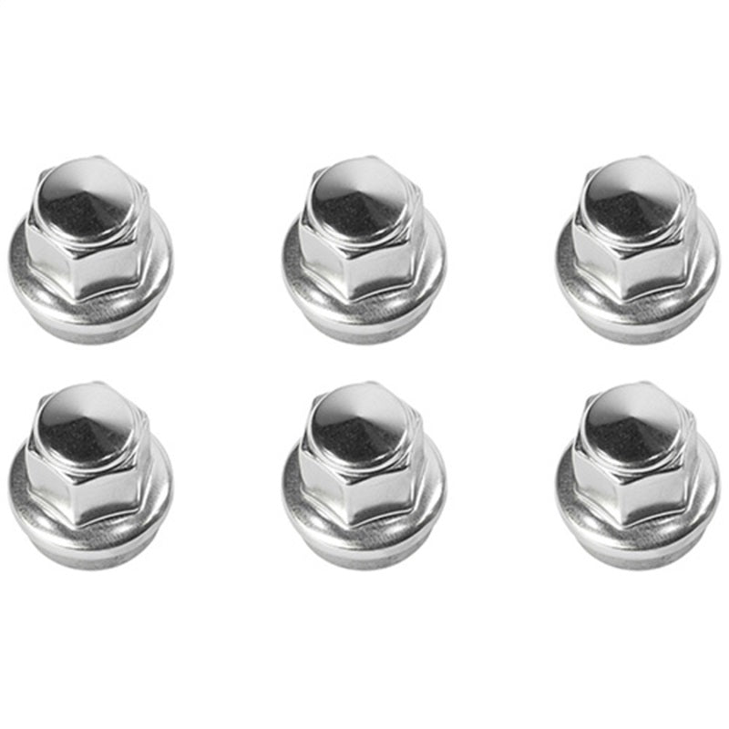 Ford Performance Parts Ford Racing 2015-2018 F-150 Lug Nut Kit