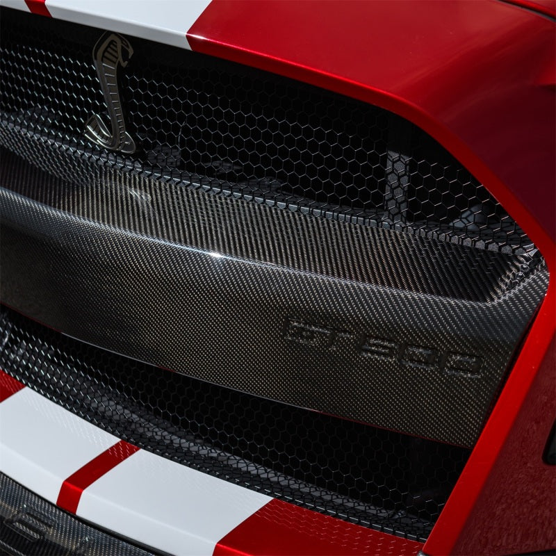 Ford Racing 20-21 Mustang GT500 Carbon Fiber Bumper Insert M-17750-MCF