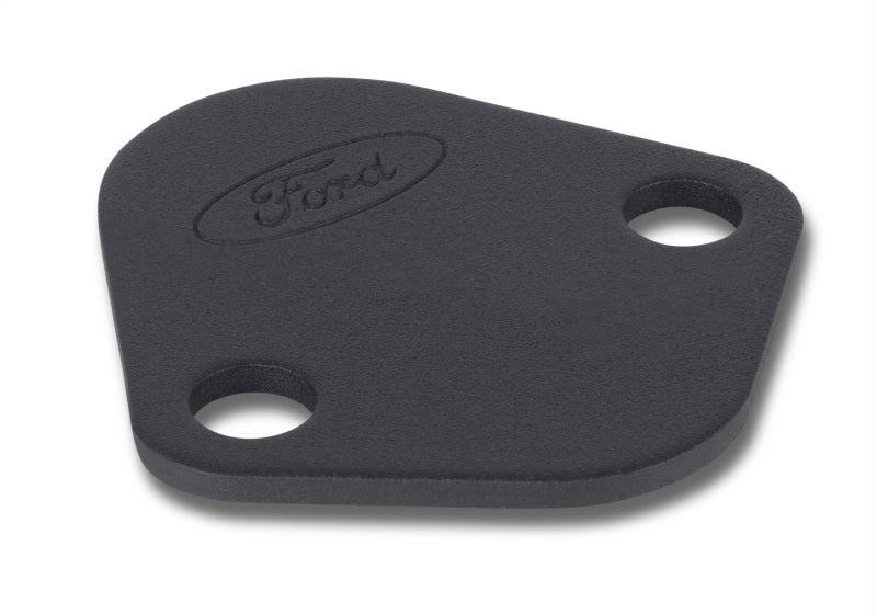 Ford Fuel Pump Block-Off Plate Black w/Ford Logo FRD302-291