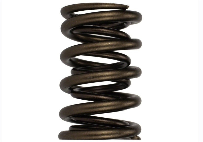 Ford Racing  Replacement Hydraulic Roller Valve Spring - Single (For M-6049-SCJA) M-6513-17341
