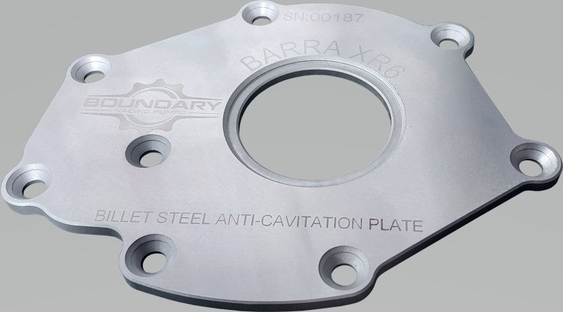 Boundary 02-16 Ford Barra XR6 Billet Back Plate BA-BBP