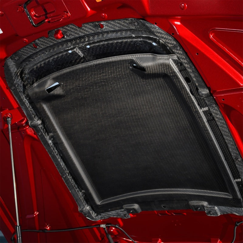 Ford Racing 20-21 Mustang GT500 Carbon Fiber Hood Vent Kit M-16612-C20