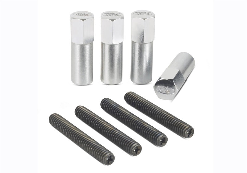 Ford Valve Cove Bolt Kit 4pk Chrome w/Ford Logo FRD302-315