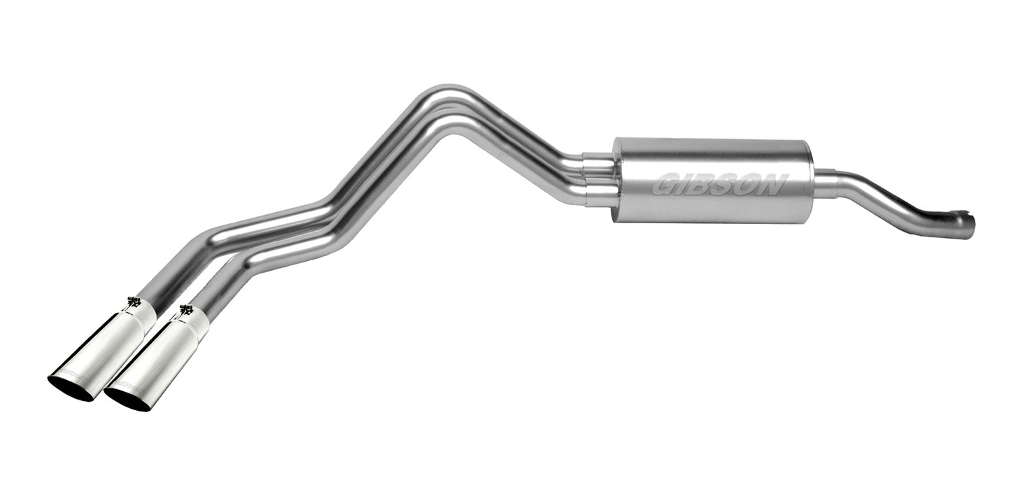Cat-Back Dual Sport Exhaust System; Stainless