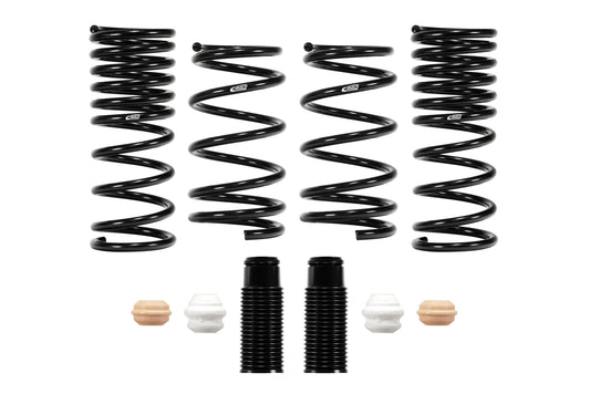 PRO-KIT Performance Springs (Set Of 4 Springs)