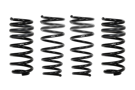 PRO-KIT Performance Springs (Set Of 4 Springs)